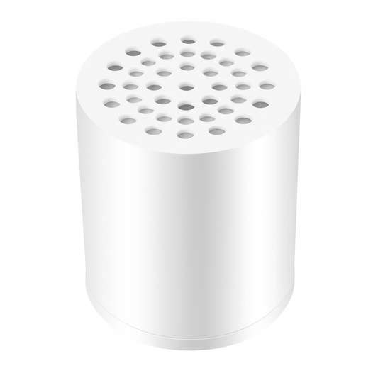 Showerhead Filter Replacement